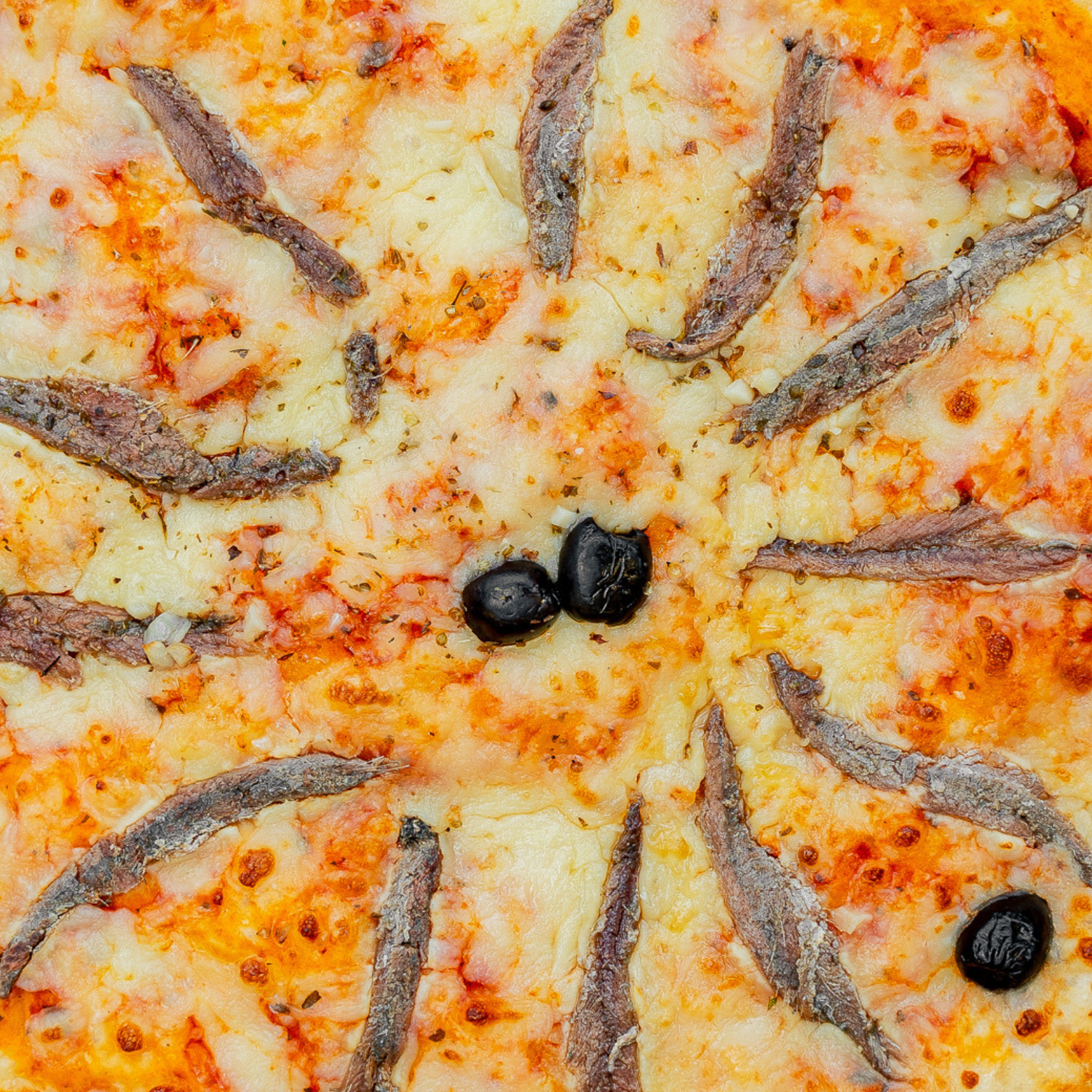 Platine de Pizza Anchois Normale (60x40cm)